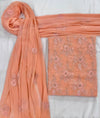 Embroidered Chiffon 2 Piece Suit with Stone Work