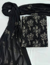 Embroidered Chiffon 2 Piece Suit with Stone Work